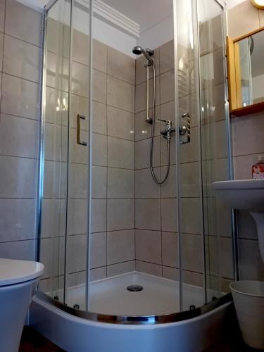 a bathroom with a shower and a sink at BERDO Noclegi i restauracja in Wetlina