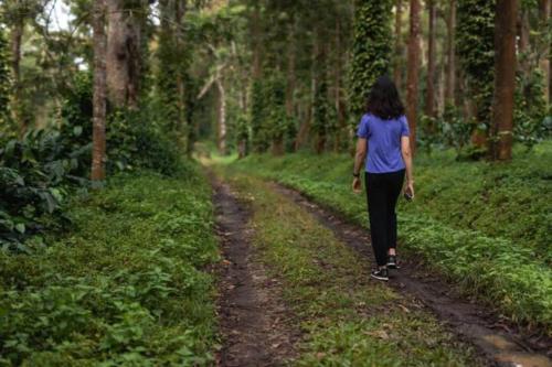a woman walking down a dirt road in the woods at Tusker Trails - A LuxUnlock Private Retreat in Suntikoppa