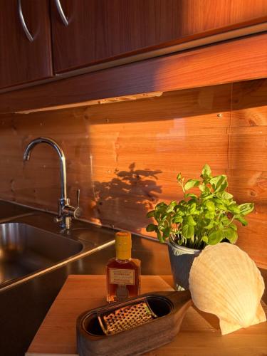 a kitchen counter with a sink and a plant at Helligvær Kystopplevelser AS in Helligvær