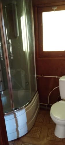 a bathroom with a toilet and a glass shower at Domek nad jeziorem in Górzno