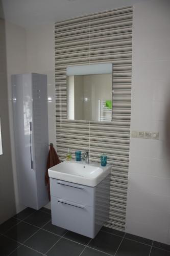 uma casa de banho com um lavatório branco e um espelho. em Apartmanovy dom Romantika - Apartman 5 em Tale