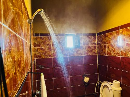 a bathroom with a shower and a toilet with a shower at Les Roses Des Dunes in Merzouga