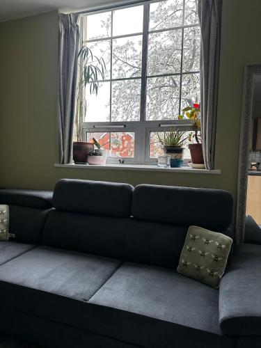 Superb Peaceful 1 bed apartment in St George. photo 46