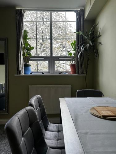 Superb Peaceful 1 bed apartment in St George. photo 45