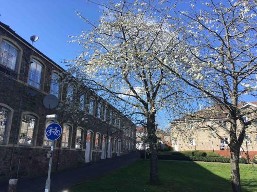 Superb Peaceful 1 bed apartment in St George. photo 12