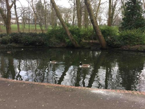 Superb Peaceful 1 bed apartment in St George. photo 10