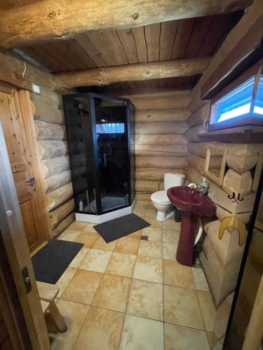 a bathroom with a toilet and a sink in a log cabin at Oksa Puhkemaja in Võru