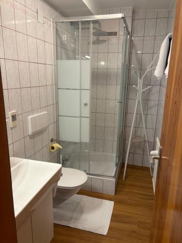 a bathroom with a shower and a toilet and a sink at Apartment Ladinger in Radstadt