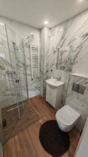 a bathroom with a toilet and a shower and a sink at Mały Domek in Szczecinek
