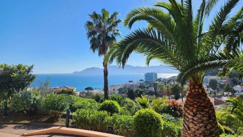 Piscine, VUE MER, Calme et luxe, terrasse