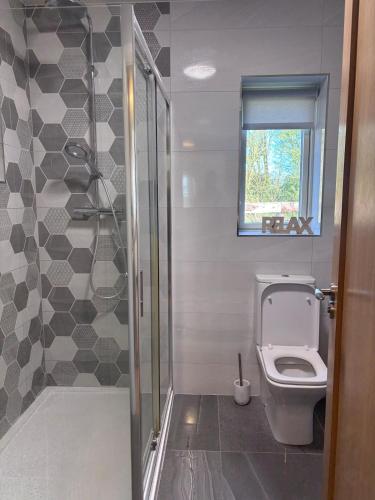 a bathroom with a toilet and a glass shower at Moate View Lodge in Ballymore Eustace