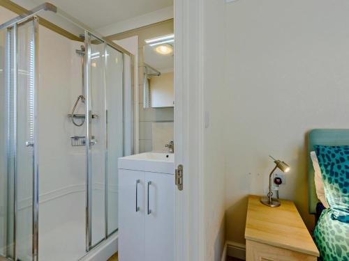 a bathroom with a shower and a sink at 2 Bed in Narberth oc-91799 in Stepaside