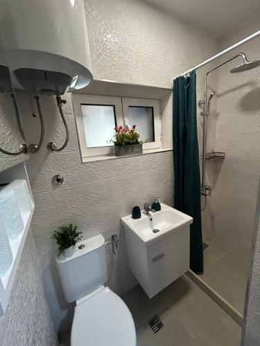 a bathroom with a toilet and a sink and a shower at Apartmani Gušti in Kamenari