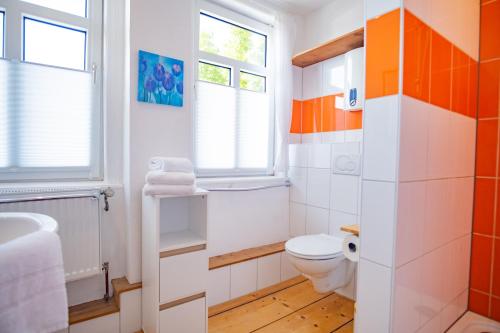 a bathroom with a toilet and a sink at Ferienhaus "Zum Lochstein" in Sankt Andreasberg