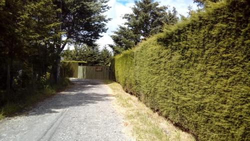 a dirt road next to a green hedge at Complejo Cabañas Quilamalen in Villarrica