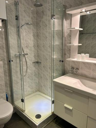 a bathroom with a shower and a toilet and a sink at Alte Teestube Alte Teestube 57 in Norderney