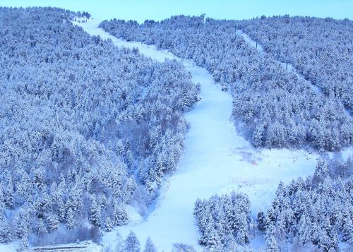 an aerial view of a river in a snow covered forest at AC Apartaments Sol Tarter in El Tarter