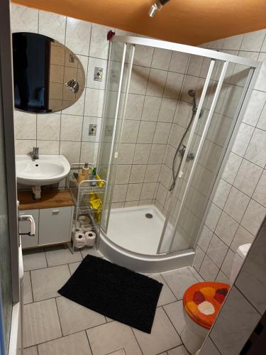a bathroom with a shower and a sink at Katka in Cheb