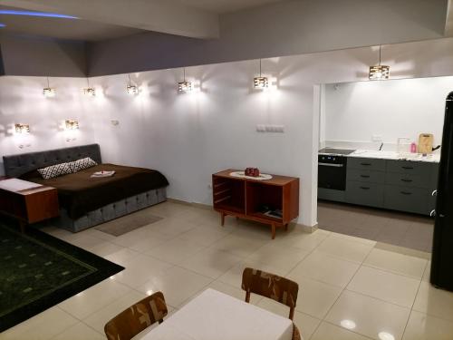 a living room with a bed and a kitchen at Center Apartment in Przemyśl