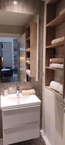 a bathroom with a white sink and a mirror at Belgrade Waterfront Wolf in Sajmište