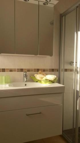 a bathroom sink with a mirror and a shower at Weingut Gaube in Leutschach
