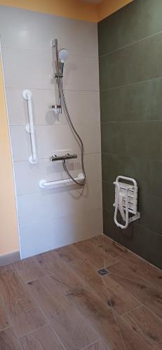 a bathroom with a shower with a hose on the wall at Logis de la Provosterie CLICRO in Ahuillé