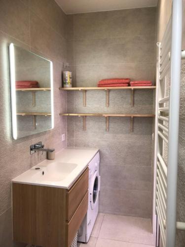 a bathroom with a sink and a washing machine at Un petit nid au calme, à 4 minutes de la plage ! in Banyuls-sur-Mer