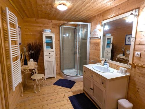 a bathroom with a shower and a sink at Chambre Fleur bleue, les Volets Bleus in Laneuvelotte