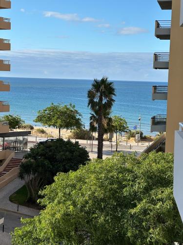 Oceanfront Dream Stay