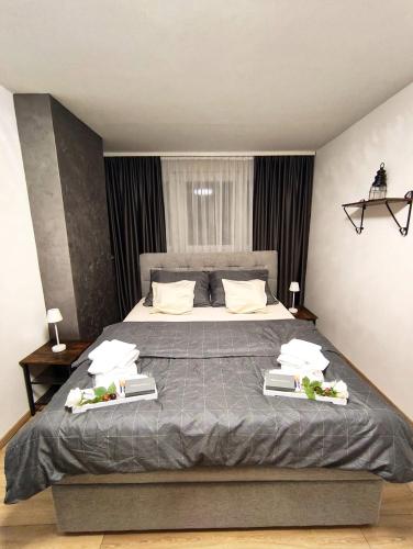 a bedroom with a large bed with two books on it at Apartment Aby - Free Parking & Self Check-in in Slavonski Brod