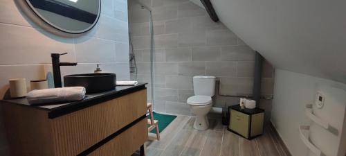 a bathroom with a toilet and a sink and a mirror at Bienvenue chez Céline in Mareuil-sur-Ourcq