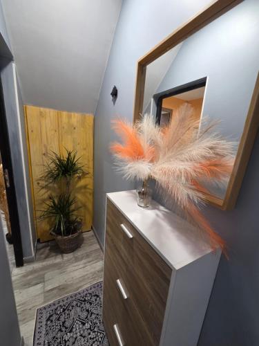 a bathroom with a dresser and a mirror at MAISON LA SOURCE d'hôte à Roubaix in Roubaix