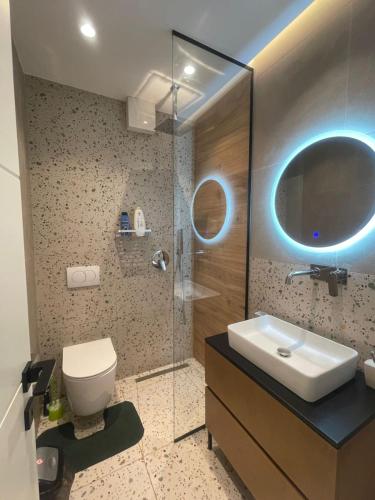 a bathroom with a sink and a toilet and a mirror at Downtown Apartment Rooms in Tirana