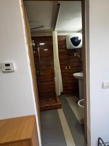 a bathroom with a shower and a toilet at Studio Park in Craiova