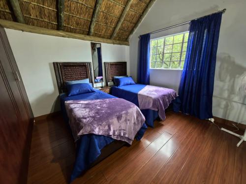 a bedroom with two beds and a window at Frangipani guesthouse in Hartbeespoort
