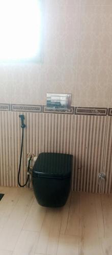 a bathroom with a green toilet in a room at Rivana Inn - ريفانا in ‘Izbat an Nāmūs