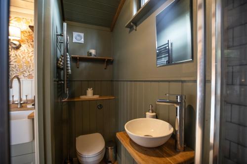 a bathroom with a sink and a toilet at The Carriage in Kenton