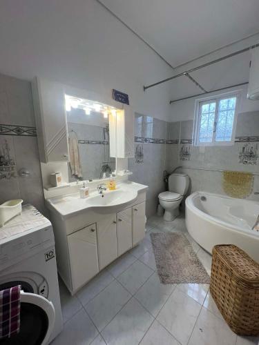 a bathroom with a sink and a tub and a toilet at V&M Residence Upper Level in Mesagrós