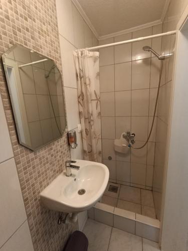 a bathroom with a sink and a shower at Guesthouse Flaghome in Mostar
