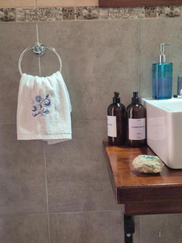 a bathroom with a towel and two bottles on a counter at Caranday in Cortaderas