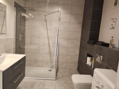 a bathroom with a shower and a toilet and a sink at Apartament Ela in Żywiec
