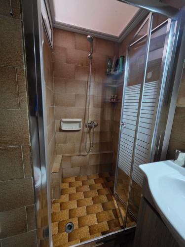 a bathroom with a shower with a glass door at Cosy apartment in Sparta in Sparta