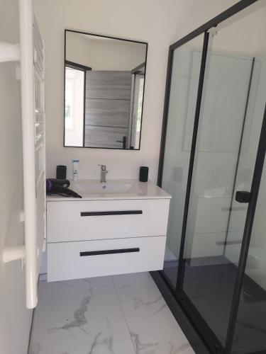 a bathroom with a sink and a mirror at Studio de Vincent in Bordeaux-Saint-Clair