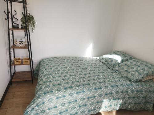 a bedroom with a bed with a green comforter at Studio de Vincent in Bordeaux-Saint-Clair