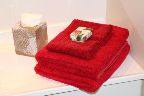 a red towel sitting on a shelf next to a box at 200 on Lake View in Karapiro