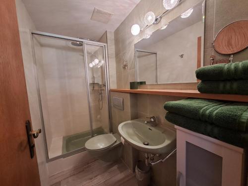 a bathroom with a shower and a toilet and a sink at Zoberhof - Ferienhof zum Zoberbauer in Oberammergau