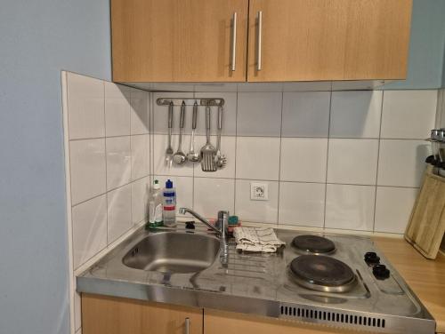a kitchen with a sink and a counter top at Modrina in Kobarid