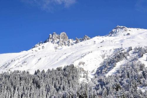 Résidence Grande Rosiere - JOLI STUDIO SKIS AUX PIEDS EMPLACEMENT IDEAL - WIFI PRIVE MAE-7646