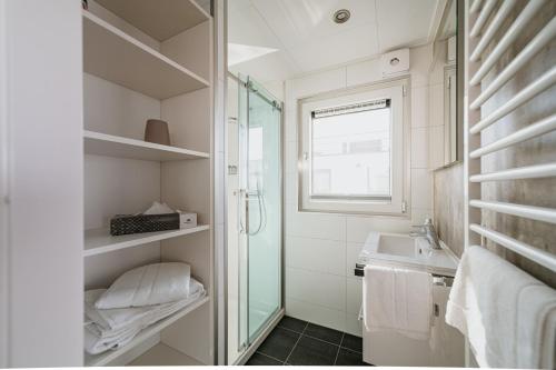 a bathroom with a shower and a sink and a mirror at Floatinghouse Möweninsel - LP15 in Vetschau