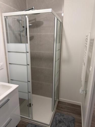 a glass shower in a bathroom with a sink at Studio, atypique in Chaufour-lès-Bonnières
